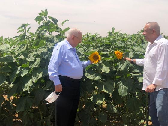 הנשיא ריבלין וראש המועצה האזורית אשכול, גדי ירקוני, בשדה חמניות