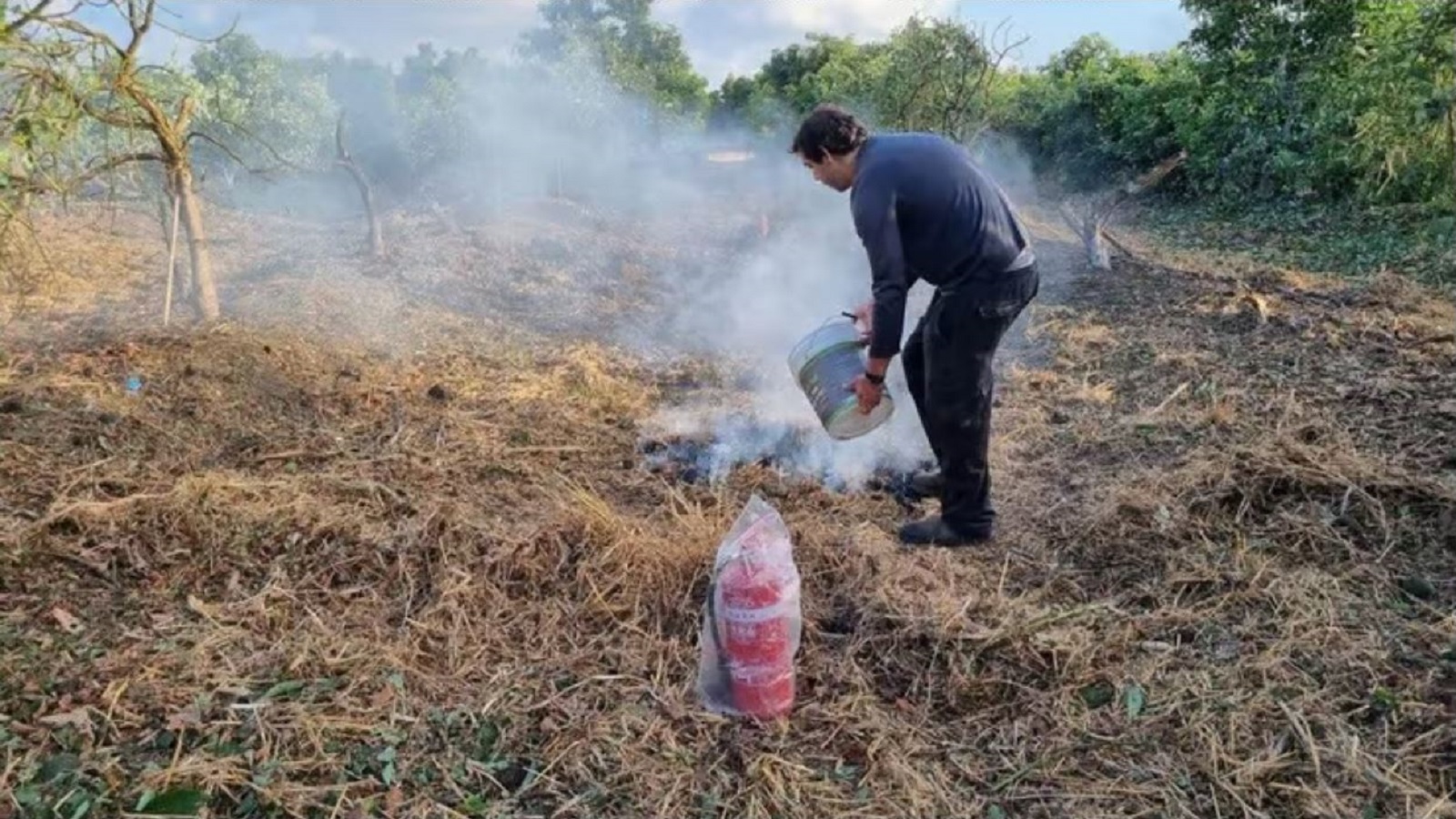 נפילת רקטה בלב מטע האבוקדו של כפר מסריק. צילום: יואב גירש