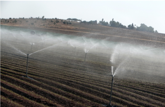 עבר בקריאה ראשונה: חוק היסטורי יוזיל את מחיר המים לחקלאים