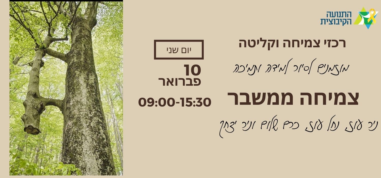 רכזי צמיחה וקליטה