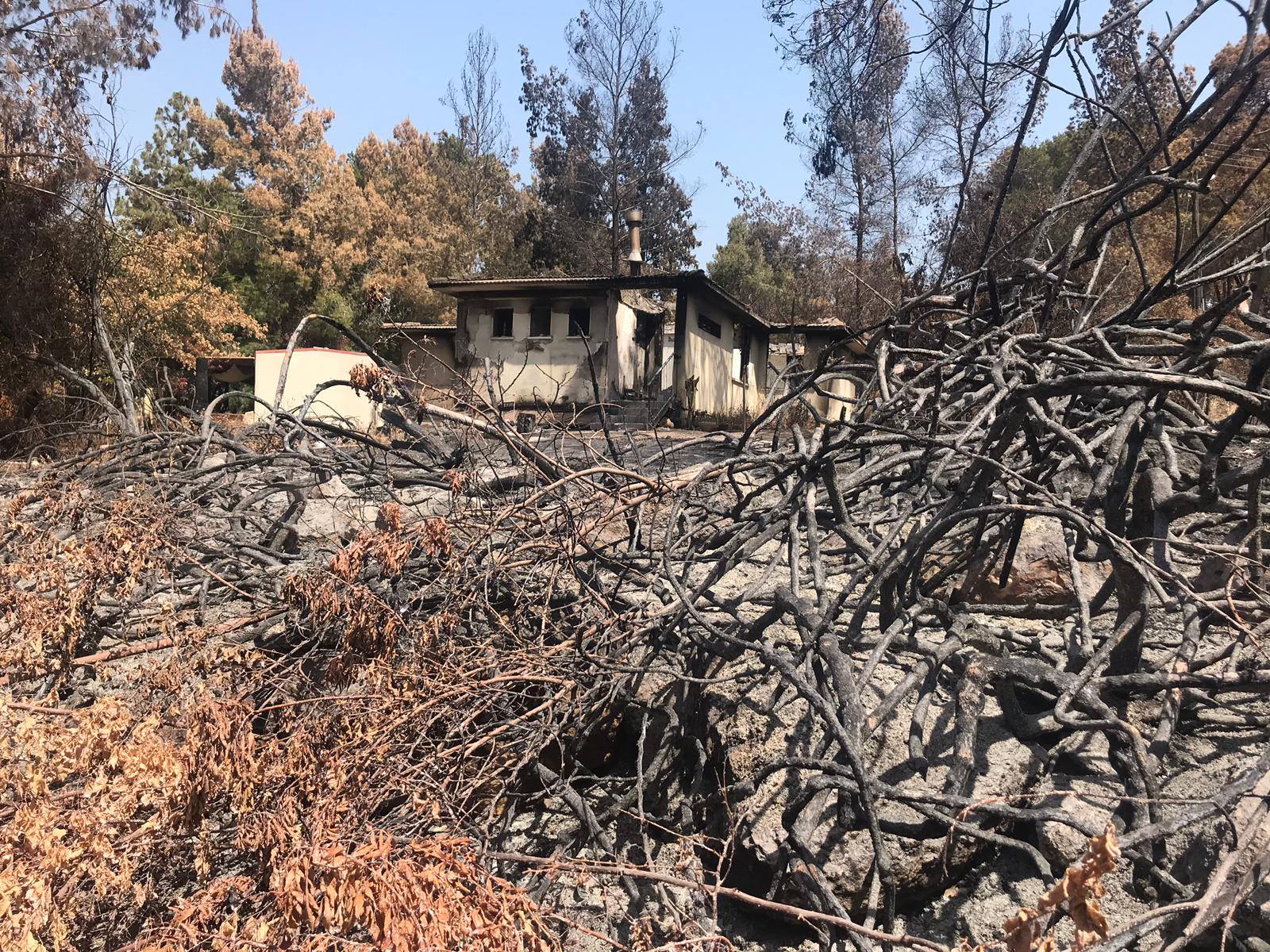 נזקי השריפה בקיבוץ הראל בשנת 2019