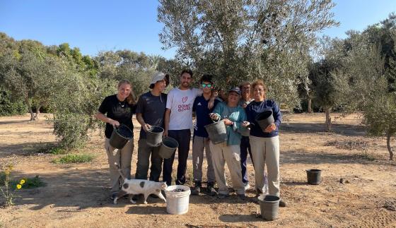 התכנית מייצרת חיבור אישי בין הקיבוץ לגש"שים ולמתנדבים. מוסקים זיתים בקיבוץ חולית