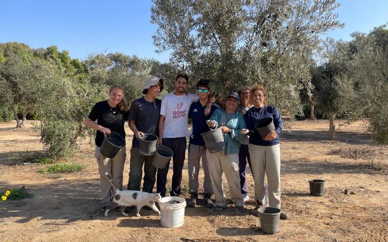 התכנית מייצרת חיבור אישי בין הקיבוץ לגש"שים ולמתנדבים. מוסקים זיתים בקיבוץ חולית